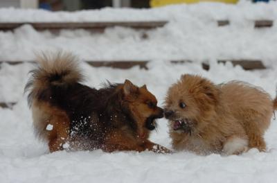 Dec18_05_542.JPG