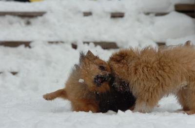 Dec18_05_550.JPG