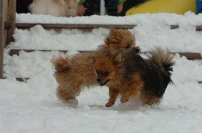Dec18_05_559.JPG