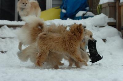Dec18_05_563.JPG