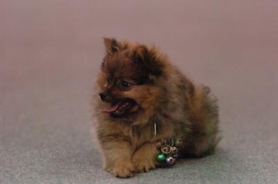Dec22_05_058.JPG