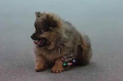 Dec22_05_059.JPG
