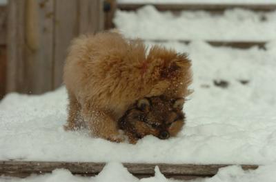 Dec18_05_519.JPG