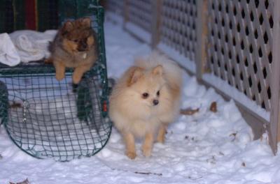 Dec31_05_826.JPG