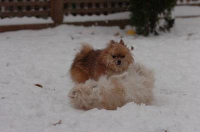 Dec31_05_433.JPG