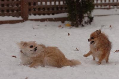 Dec31_05_435.JPG