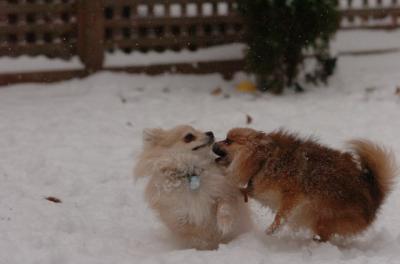 Dec31_05_436.JPG