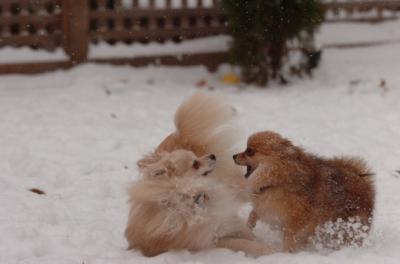 Dec31_05_437.JPG