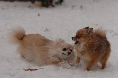 Dec31_05_438.JPG