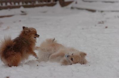 Dec31_05_443.JPG