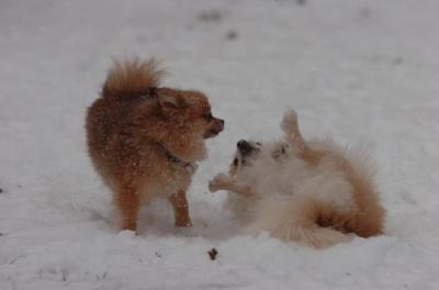 Dec31_05_445.JPG