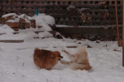 Dec31_05_474.JPG