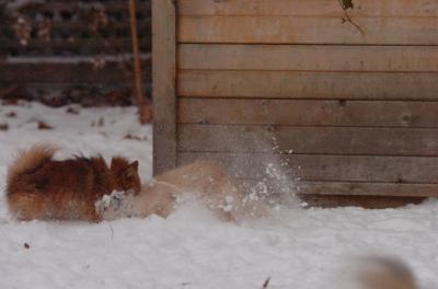Dec31_05_475.JPG