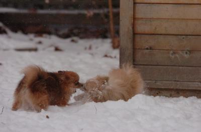 Dec31_05_477.JPG