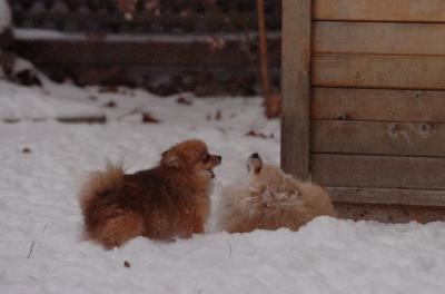 Dec31_05_478.JPG