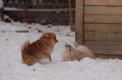 Dec31_05_479.JPG