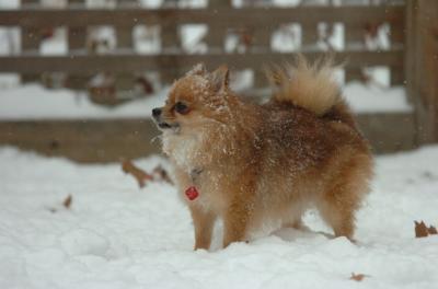 Dec31_05_484.JPG
