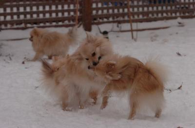 Dec31_05_498.JPG