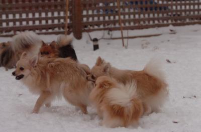 Dec31_05_499.JPG