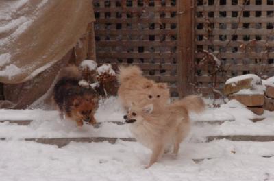 Dec31_05_513.JPG