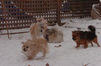 Dec31_05_515.JPG