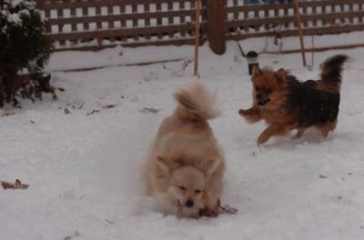 Dec31_05_516.JPG