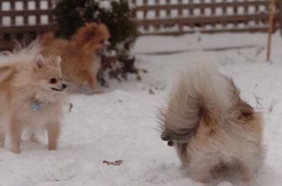 Dec31_05_517.JPG
