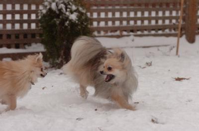 Dec31_05_531.JPG