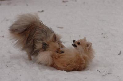 Dec31_05_536.JPG