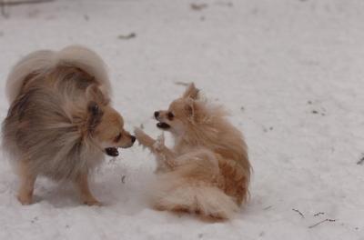 Dec31_05_537.JPG