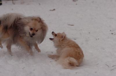 Dec31_05_538.JPG