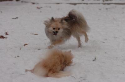 Dec31_05_539.JPG