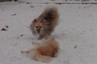 Dec31_05_540.JPG