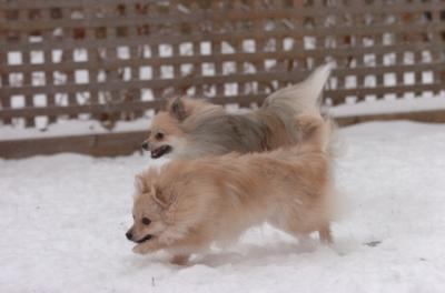 Dec31_05_575.JPG