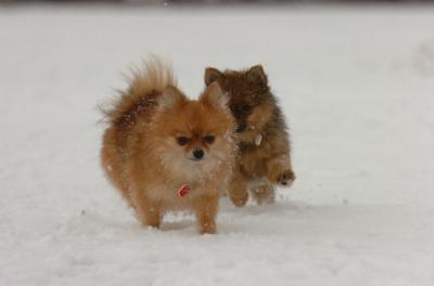Jan7_05_338.JPG