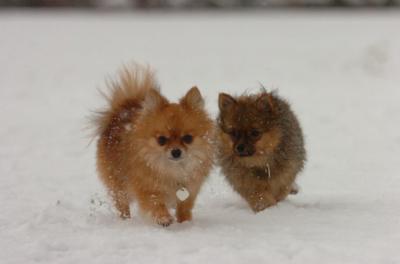 Jan7_05_339.JPG