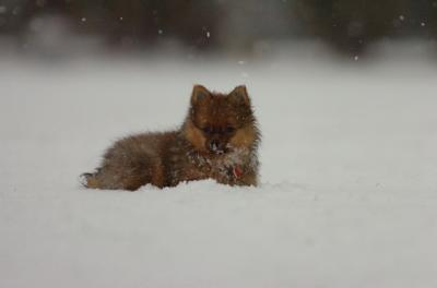 Jan7_05_344.JPG