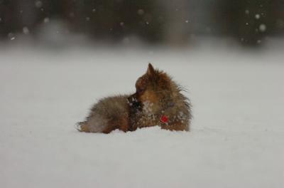 Jan7_05_345.JPG