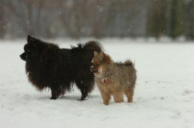 Jan7_05_366.JPG