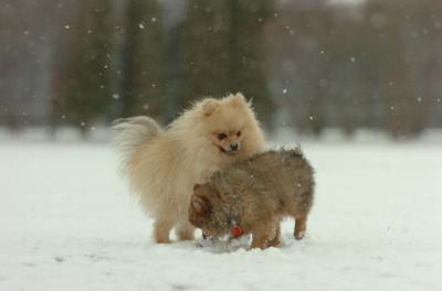 Jan7_05_368.JPG