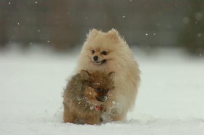 Jan7_05_377.JPG