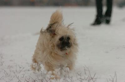 Jan7_05_383.JPG