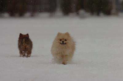 Jan7_05_384.JPG