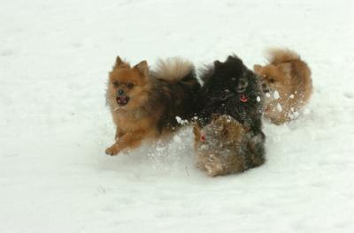 Jan7_05_385.JPG