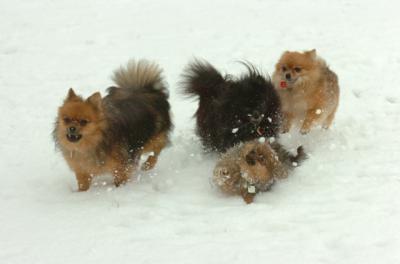 Jan7_05_386.JPG