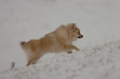 Jan7_05_390.JPG
