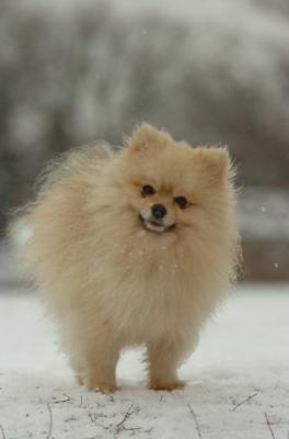 Jan7_05_408.JPG