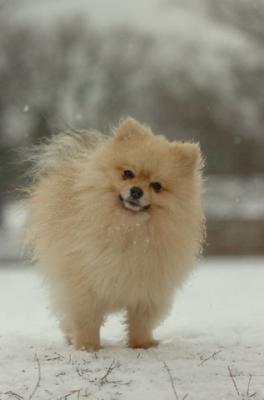 Jan7_05_409.JPG