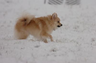 Jan7_05_419.JPG