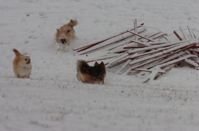 Jan7_05_420.JPG